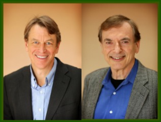 Q&A: Pure Strategies on 20 Years in the Sustainability Trenches